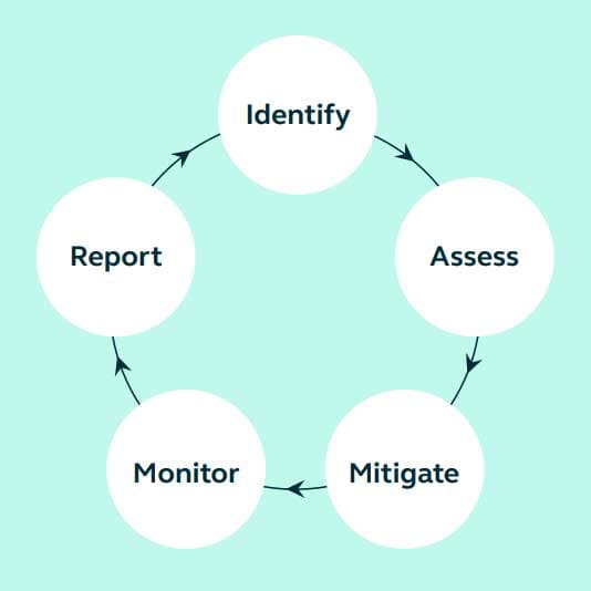 Flowchart showing steps in identifying, reporting, assessing, and monitoring process